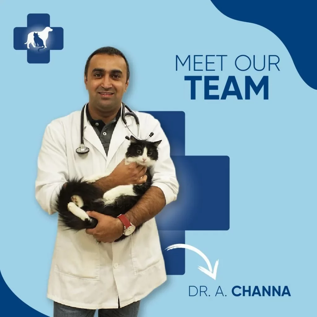 Dr. A. Channa Edmonton Spay and Neuter Clinic